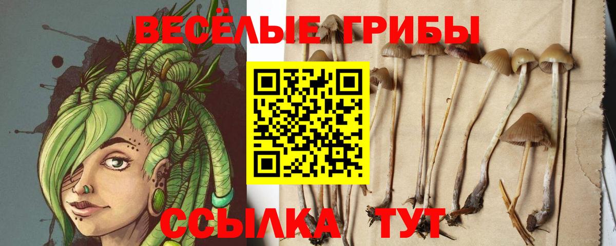 Кирово-Чепецк  цена наркотик  Вход с VPN  Псилоцибиновые грибы Magic Shrooms 